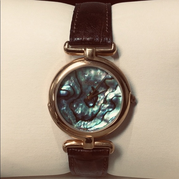 fossil world watch